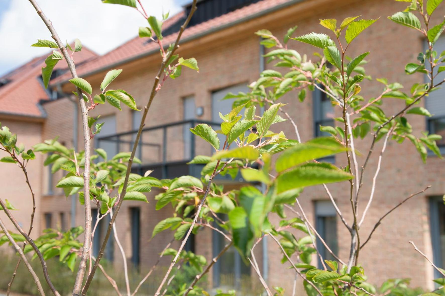 Wohnen am Südstrand - Ferienwohnung 1 5 Wyk auf Föhr Exterior foto