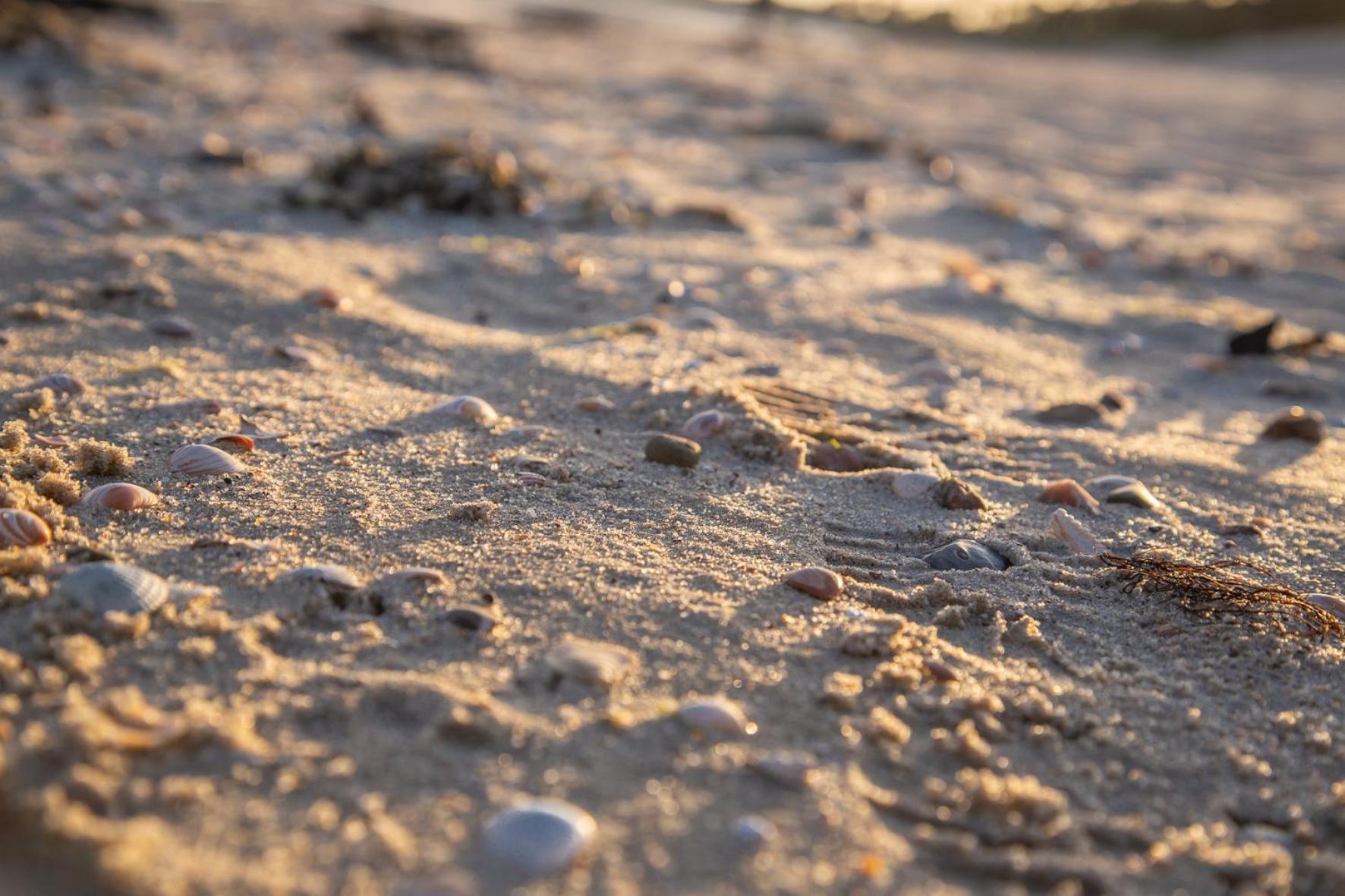 Wohnen am Südstrand - Ferienwohnung 1 5 Wyk auf Föhr Exterior foto
